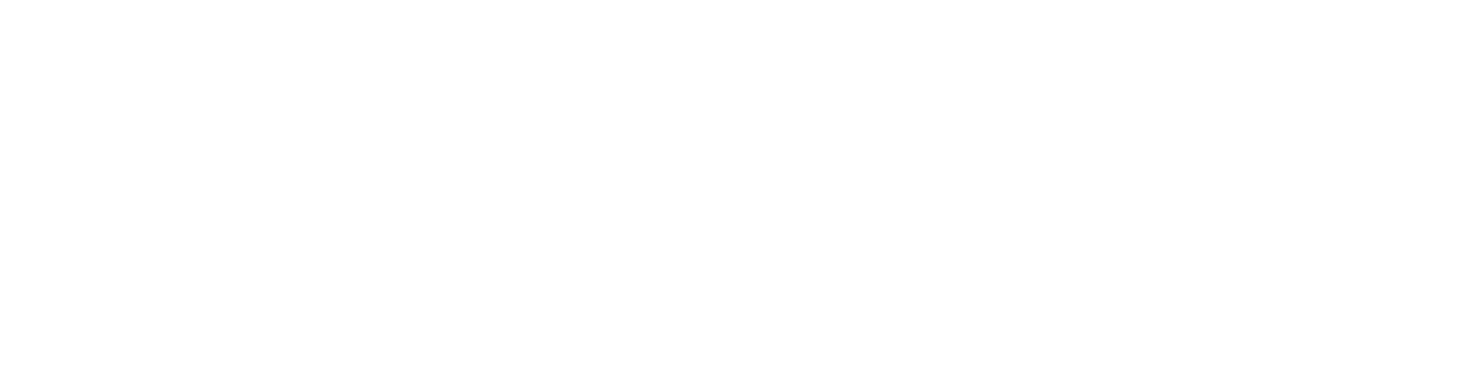 Bizplans